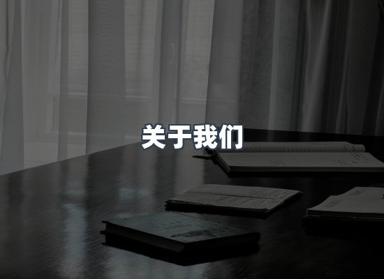 关于我们